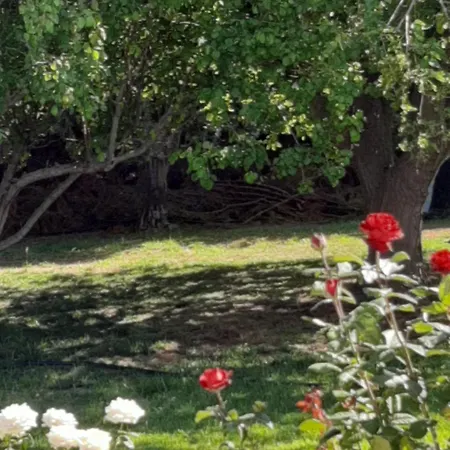 Secret Garden Villa Paphos