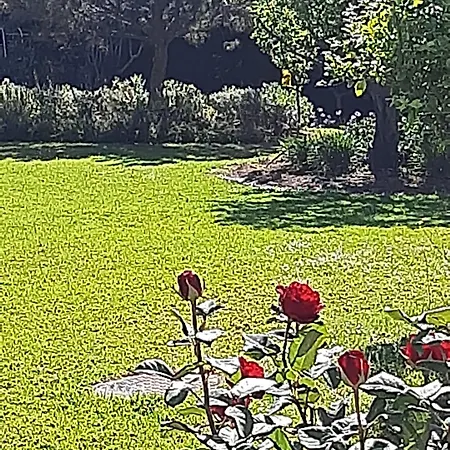 Secret Garden Villa Paphos