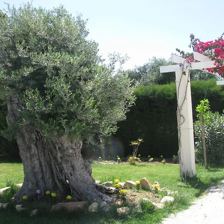 Secret Garden